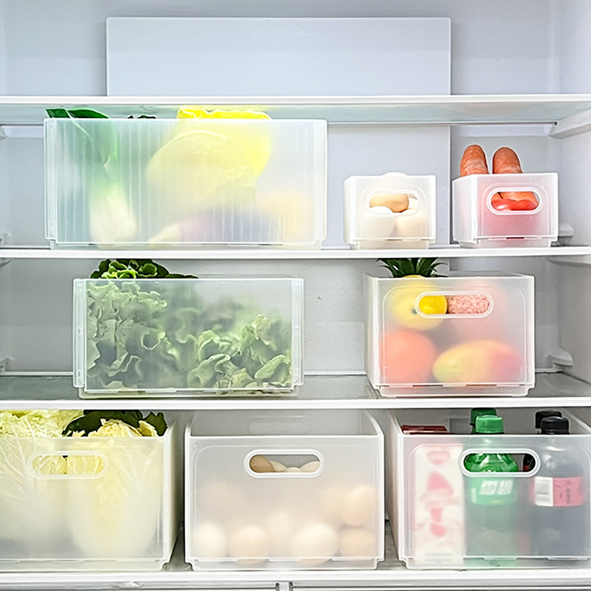 WORTHBUY Plastic Folding Fridg – обзор и цена Xxl Food Storage Container