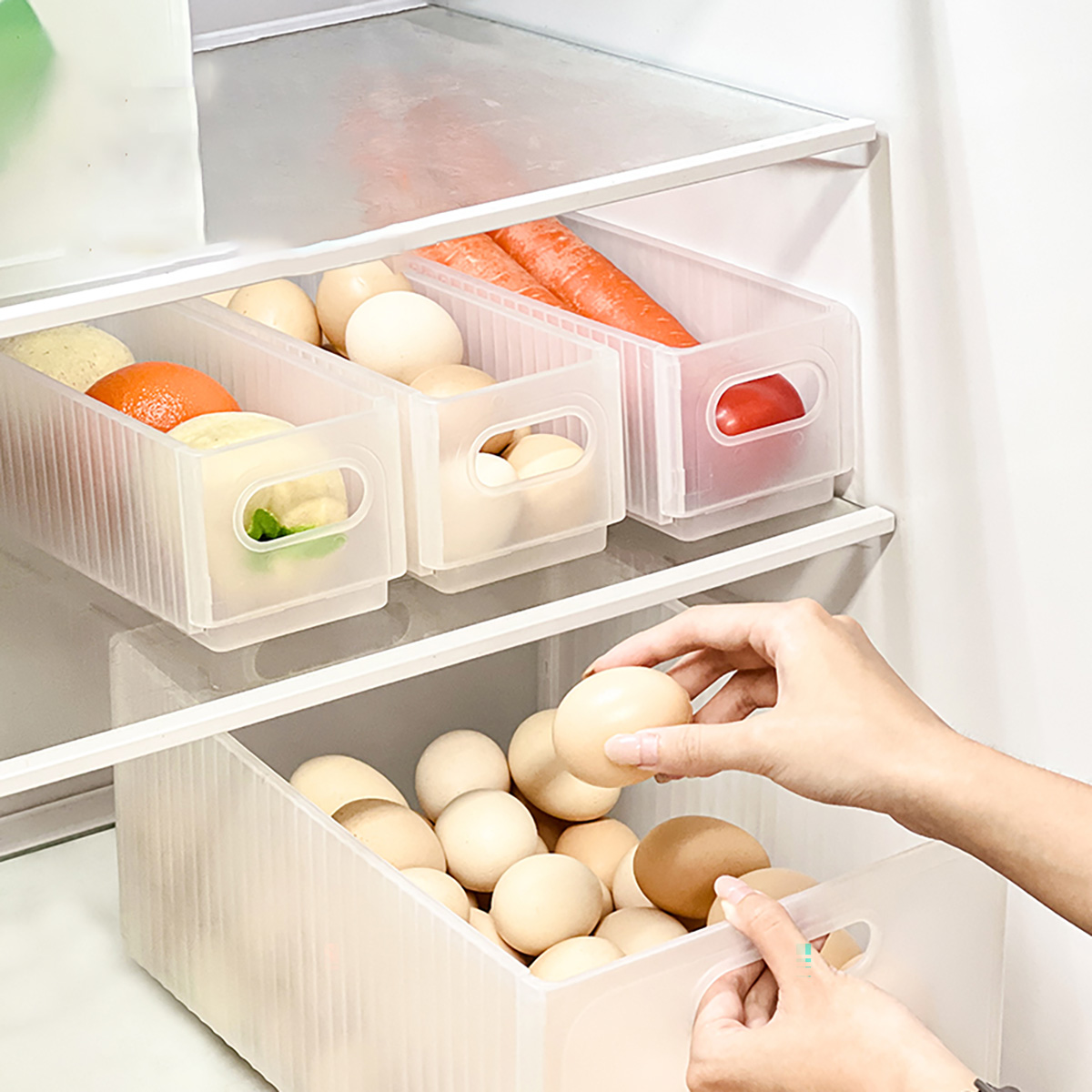 WORTHBUY Plastic Folding Fridg – обзор и цена Xxl Food Storage Container