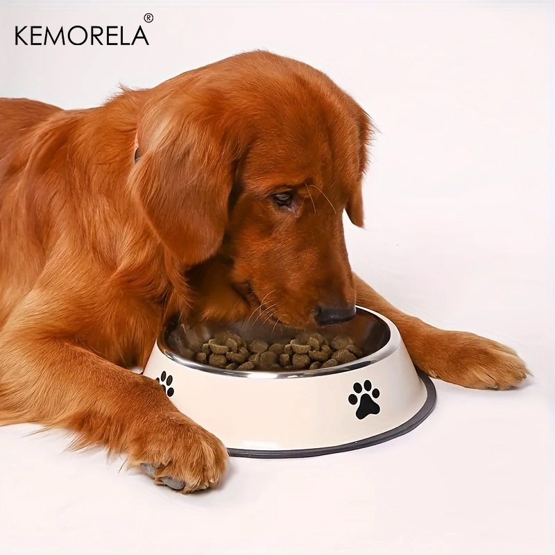 Stainless Steel Pet Dog Bowl F – обзор и цена Xxl Food Storage Container