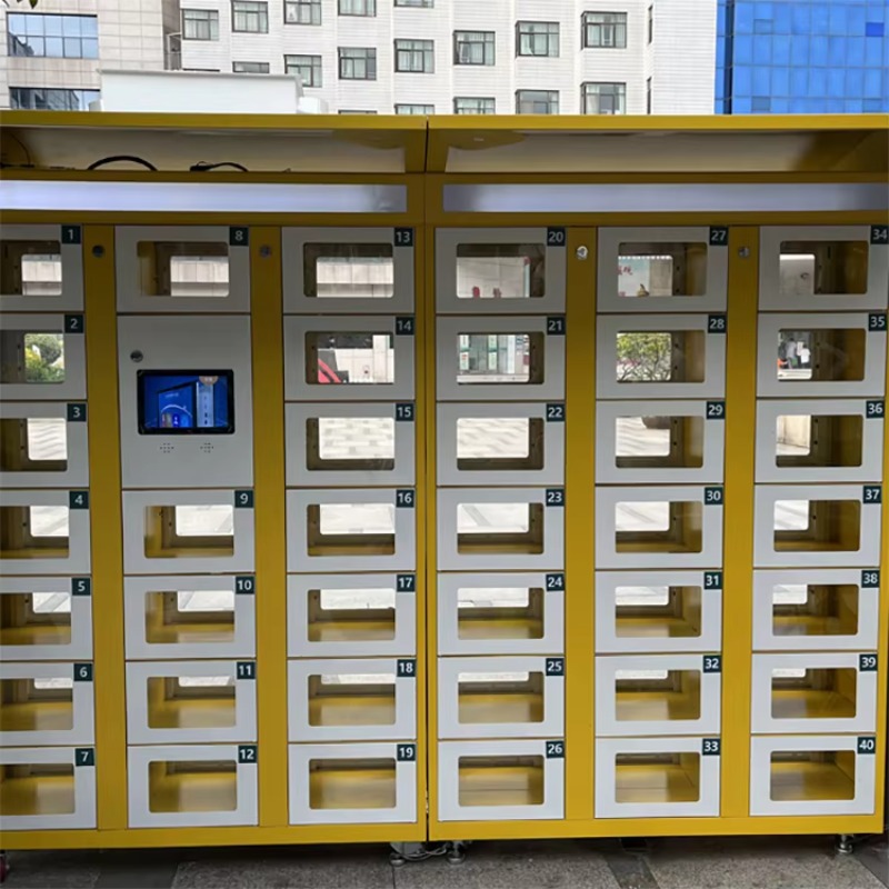 Custom Double Sided Locker Ele – обзор и цена Food Storage Locker